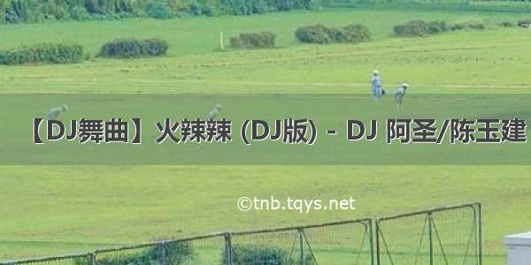 【DJ舞曲】火辣辣 (DJ版) - DJ 阿圣/陈玉建