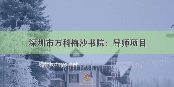 深圳市万科梅沙书院：导师项目