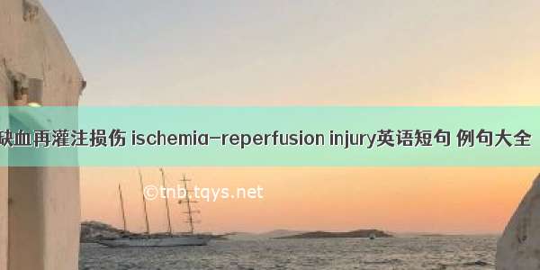 缺血再灌注损伤 ischemia-reperfusion injury英语短句 例句大全