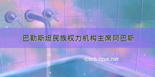 巴勒斯坦民族权力机构主席阿巴斯