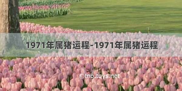 1971年属猪运程-1971年属猪运程