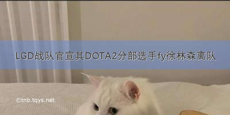 LGD战队官宣其DOTA2分部选手fy徐林森离队