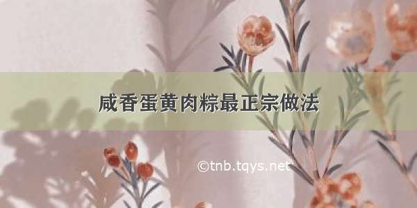 咸香蛋黄肉粽最正宗做法