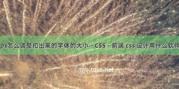 ps怎么调整扣出来的字体的大小 – CSS – 前端 css 设计用什么软件