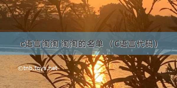 c语言淘淘 淘淘的名单 （C语言代码）