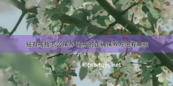 钻石戒指怎么保养 钻戒的正确保养方法有哪些