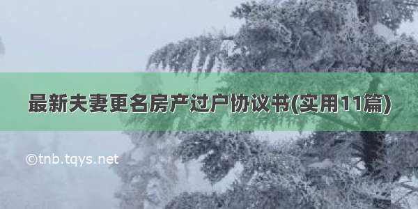 最新夫妻更名房产过户协议书(实用11篇)