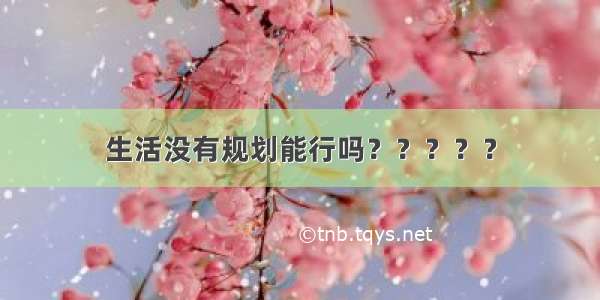 生活没有规划能行吗？？？？？