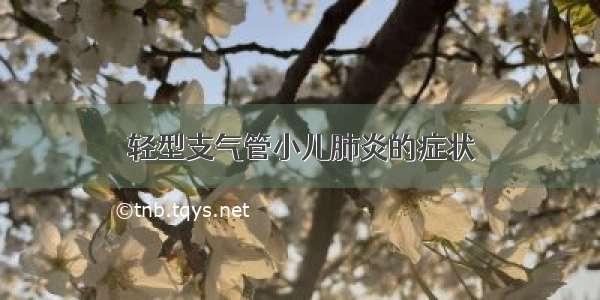 轻型支气管小儿肺炎的症状