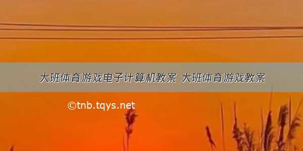 大班体育游戏电子计算机教案 大班体育游戏教案