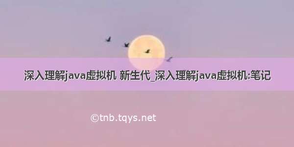 深入理解java虚拟机 新生代_深入理解java虚拟机:笔记