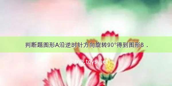 判断题图形A沿逆时针方向旋转90°得到图形B．