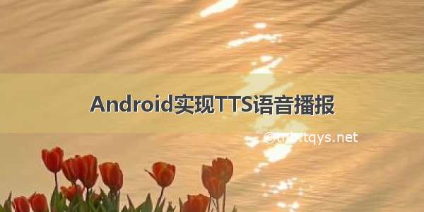 Android实现TTS语音播报