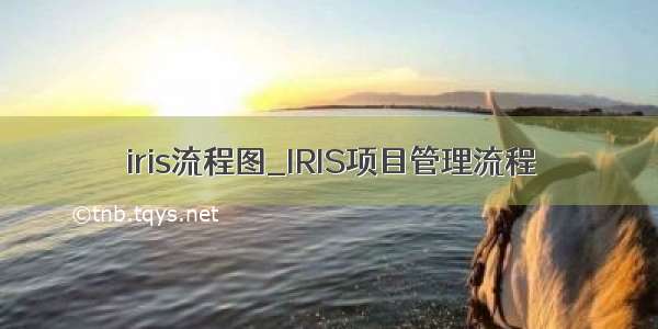 iris流程图_IRIS项目管理流程