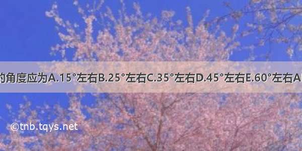 平刺的角度应为A.15°左右B.25°左右C.35°左右D.45°左右E.60°左右ABCDE