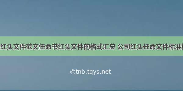 公司任职红头文件范文任命书红头文件的格式汇总 公司红头任命文件标准格式(8篇)