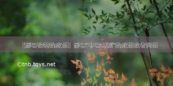 【形容独特的成语】形容“非常特别”的成语或者词语