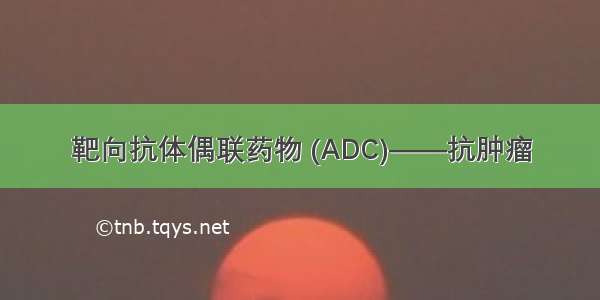 靶向抗体偶联药物 (ADC)——抗肿瘤