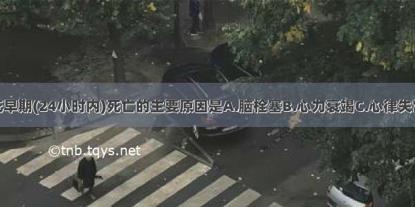 急性心肌梗死早期(24小时内)死亡的主要原因是A.脑栓塞B.心力衰竭C.心律失常D.心脏破裂