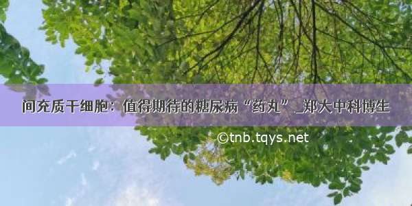 间充质干细胞：值得期待的糖尿病“药丸”_郑大中科博生