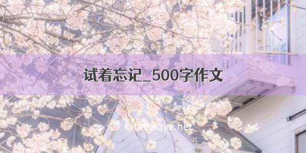 试着忘记_500字作文