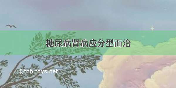 糖尿病肾病应分型而治