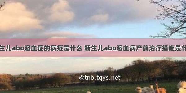 新生儿abo溶血症的病症是什么 新生儿abo溶血病产前治疗措施是什么