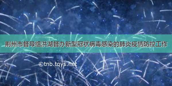 荆州市督导组洪湖督办新型冠状病毒感染的肺炎疫情防控工作