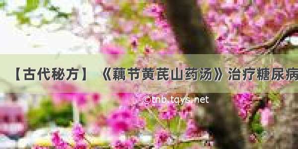 【古代秘方】 《藕节黄芪山药汤》治疗糖尿病