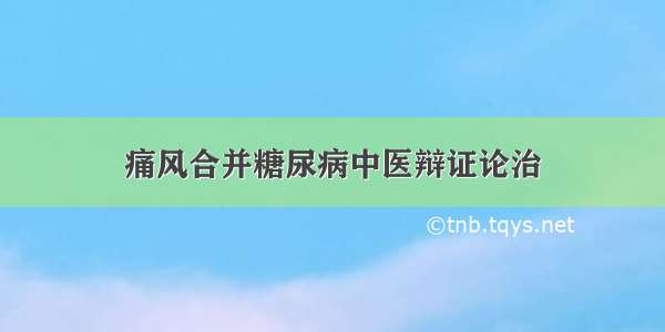 痛风合并糖尿病中医辩证论治