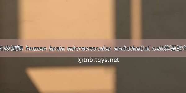 人脑微血管内皮细胞 human brain microvascular endothelial cell英语短句 例句大全