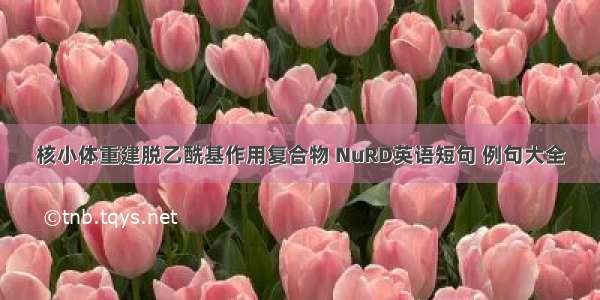 核小体重建脱乙酰基作用复合物 NuRD英语短句 例句大全