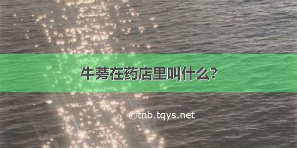 牛蒡在药店里叫什么？