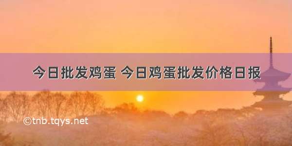 今日批发鸡蛋 今日鸡蛋批发价格日报