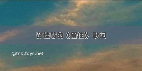 彭佳慧的《留住》 歌词