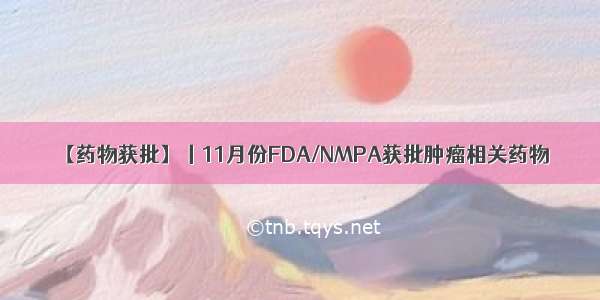 【药物获批】丨11月份FDA/NMPA获批肿瘤相关药物