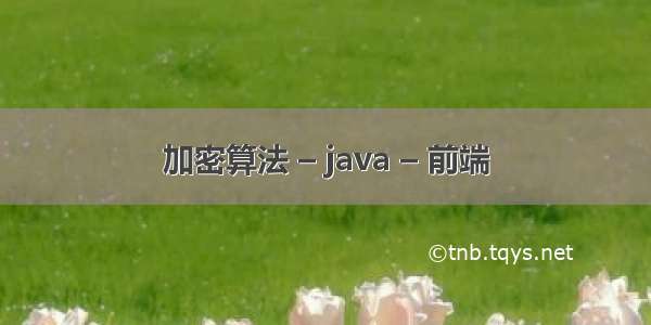 加密算法 – java – 前端