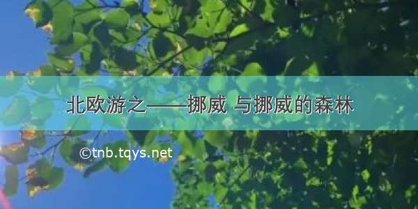 北欧游之——挪威 与挪威的森林