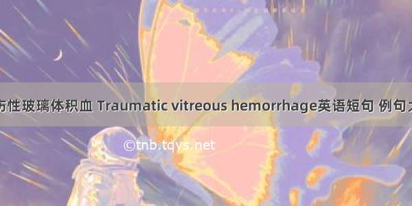 外伤性玻璃体积血 Traumatic vitreous hemorrhage英语短句 例句大全