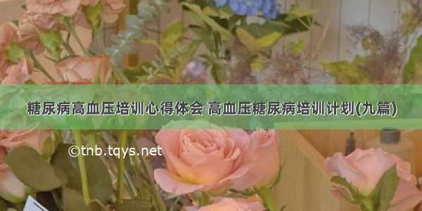 糖尿病高血压培训心得体会 高血压糖尿病培训计划(九篇)