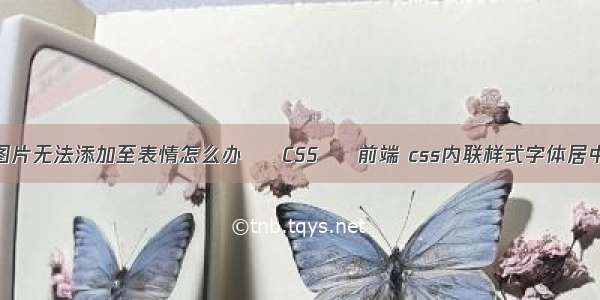 图片无法添加至表情怎么办 – CSS – 前端 css内联样式字体居中