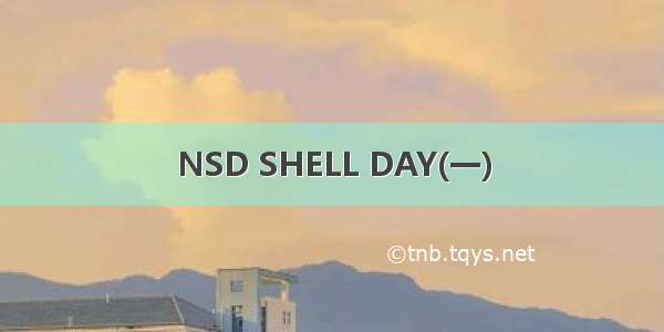 NSD SHELL DAY(一)