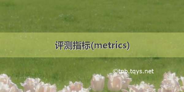 评测指标(metrics)