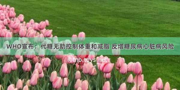 WHO宣布：代糖无助控制体重和减脂 反增糖尿病心脏病风险