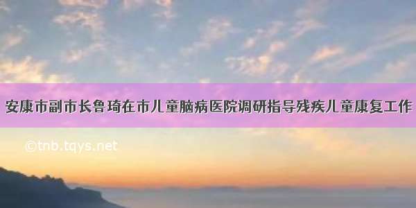 安康市副市长鲁琦在市儿童脑病医院调研指导残疾儿童康复工作