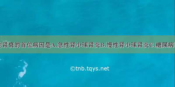 引起我国慢性肾衰的首位病因是A.急性肾小球肾炎B.慢性肾小球肾炎C.糖尿病肾病D.高血压