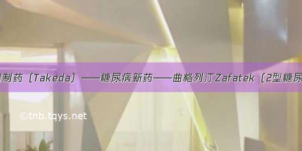 日本武田制药（Takeda）——糖尿病新药——曲格列汀Zafatek（2型糖尿病专用）