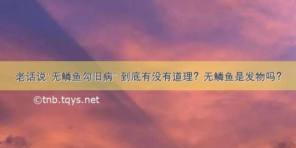 老话说“无鳞鱼勾旧病” 到底有没有道理？无鳞鱼是发物吗？