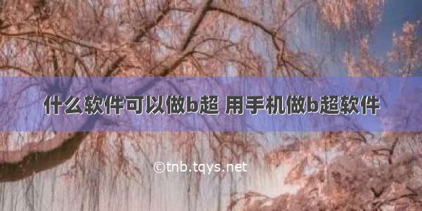 什么软件可以做b超 用手机做b超软件