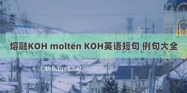 熔融KOH molten KOH英语短句 例句大全